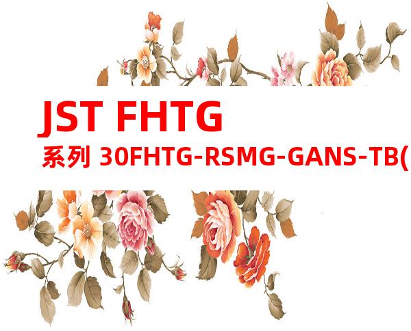 JST FHTG系列 30FHTG-RSMG-GANS-TB(HF)产品图纸